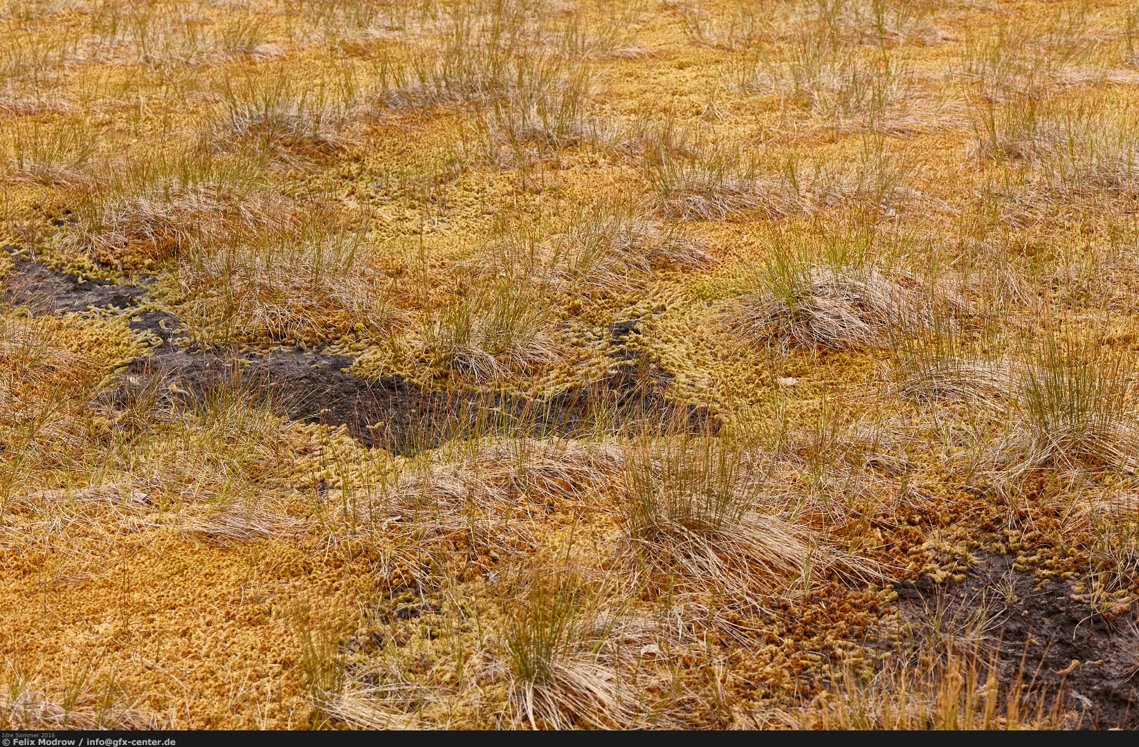 0159_Schweden_26.08.2016-11.09.2016